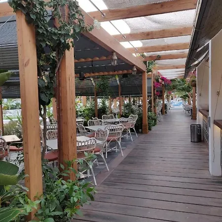 公寓 Seafront New Modern 美洲海滩