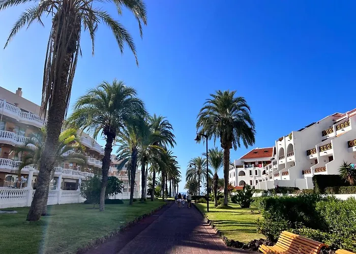Seafront New Modern